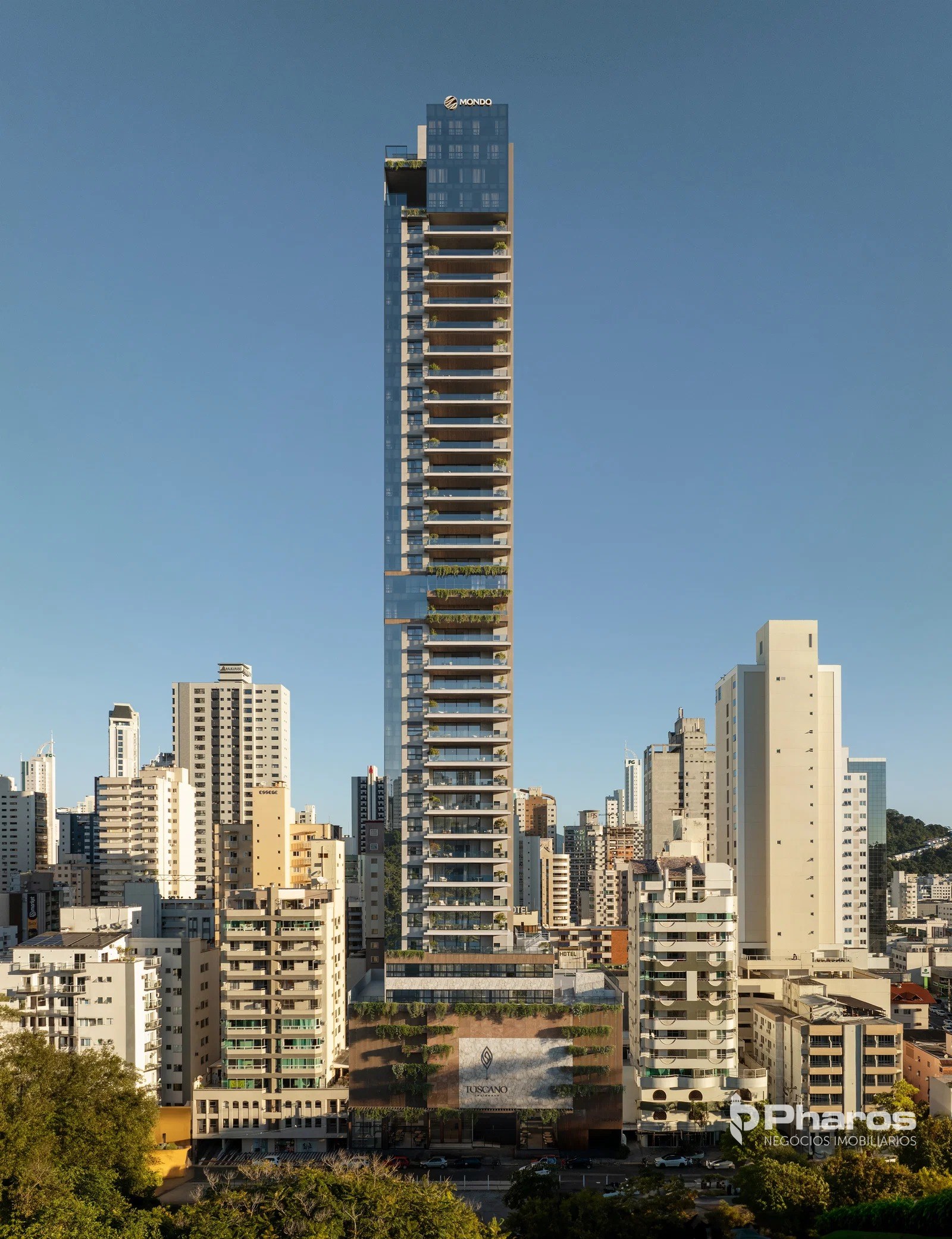 Miniatura 19